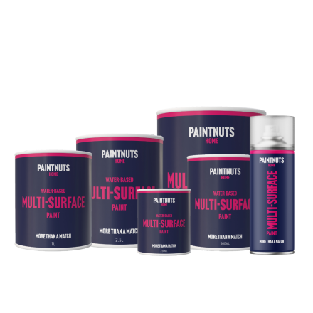 PaintNuts Water-Based Multi-Surface Paint